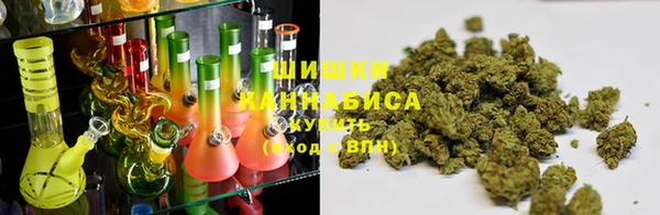 дмт Белокуриха