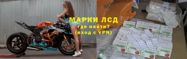 дмт Белокуриха