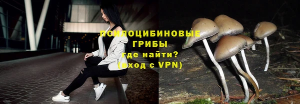 дмт Белокуриха