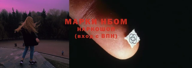 дмт Белокуриха