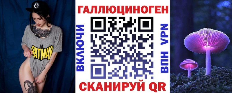 MEGA   Верхний Уфалей  Галлюциногенные грибы Psilocybine cubensis 